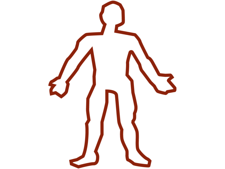 Lesson Four Body Aboriginal Living Languages SA 10-other-words-for-this-shows-in-an-essay