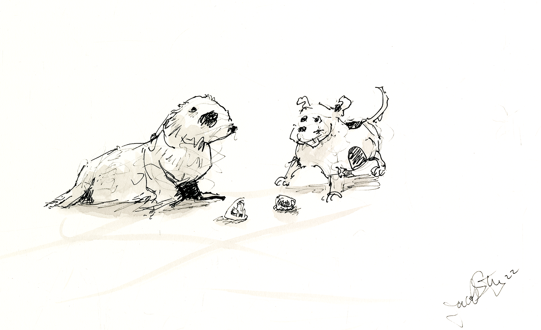 dog-and-seal