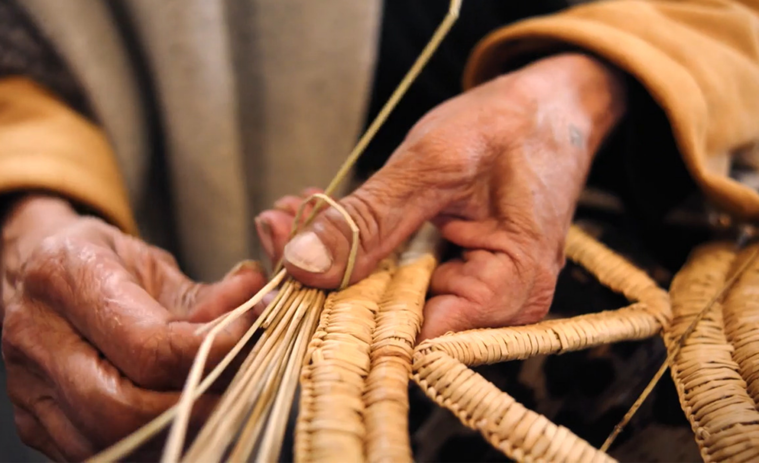 Weaving Aboriginal Living Languages SA